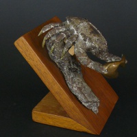 Brons 2008-01. P1120593 Krab 1 3037