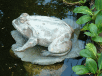 Brons 2010-04. Animation kikker 2 3041