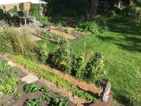 20.310000 IMG_0539 7400