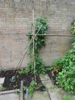 22.05.03-183 stokslaboon P1170845 7405