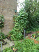 22.05.02-183 stokpronkboon P1170844 7422