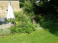 20.150722 P1170101 7437