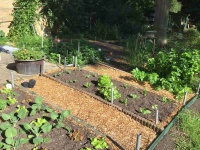 20.300000 IMG_0538 7440